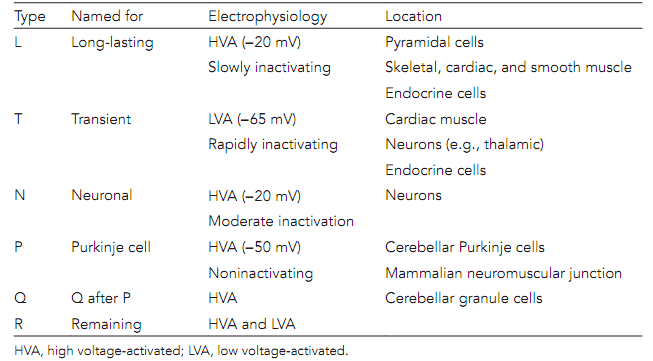 162_Calcium channel types.png